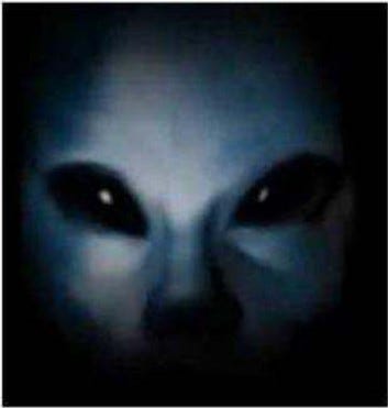 Screenshot of "Alien_Race_AFIM"