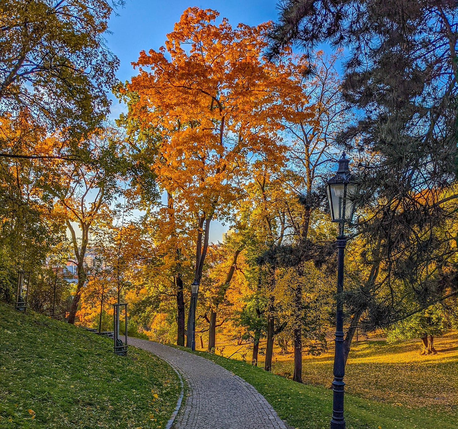 A tree filled with brilliant orange and yellow leaves stands next to the path in one of Prague's many parks. 