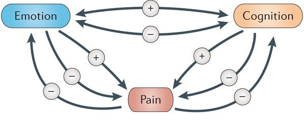 Emotions as a Source of Physical Pain | Denver Pain and Performance  Solutions