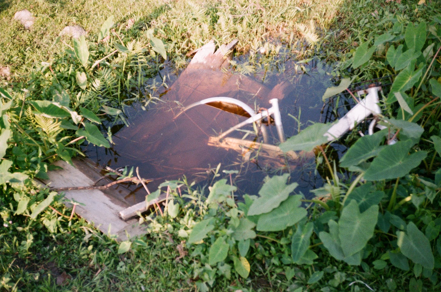 A bicycle and a plank of wood submerged in a ditch filled with water, surrounded by unattended lawn.