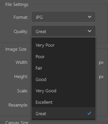 Photoshop image export menu. Quality options in order from ‘Very Poor’, ‘Poor’, ‘Fair’, ‘Good’, ‘Very Good’, ‘Excellent’, ‘Great’. Great is the highest. May god have mercy upon our souls.