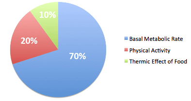 TDEE Calculator: Learn Your Total Daily Energy Expenditure