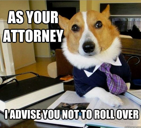 The Best of Lawyer Dog an Internet Meme