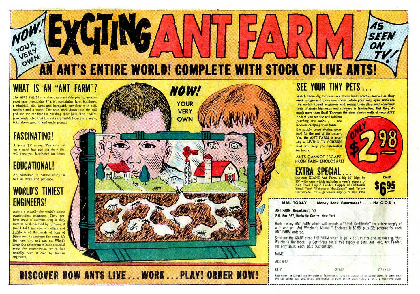 ant-farm