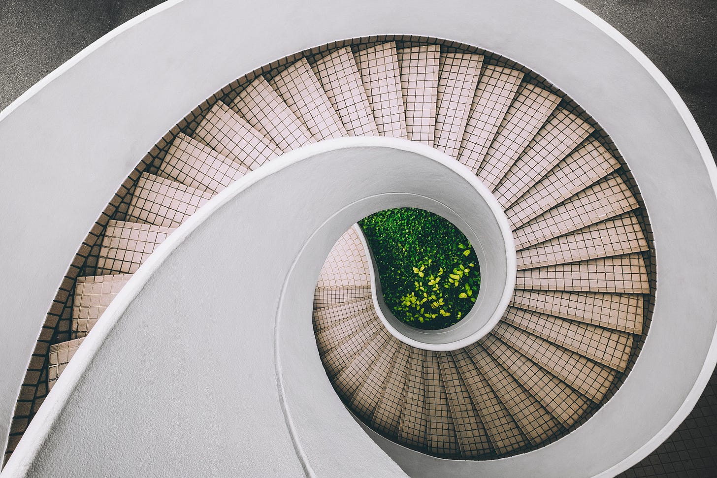 natural grassy scene surrounded by spiraling stair case
