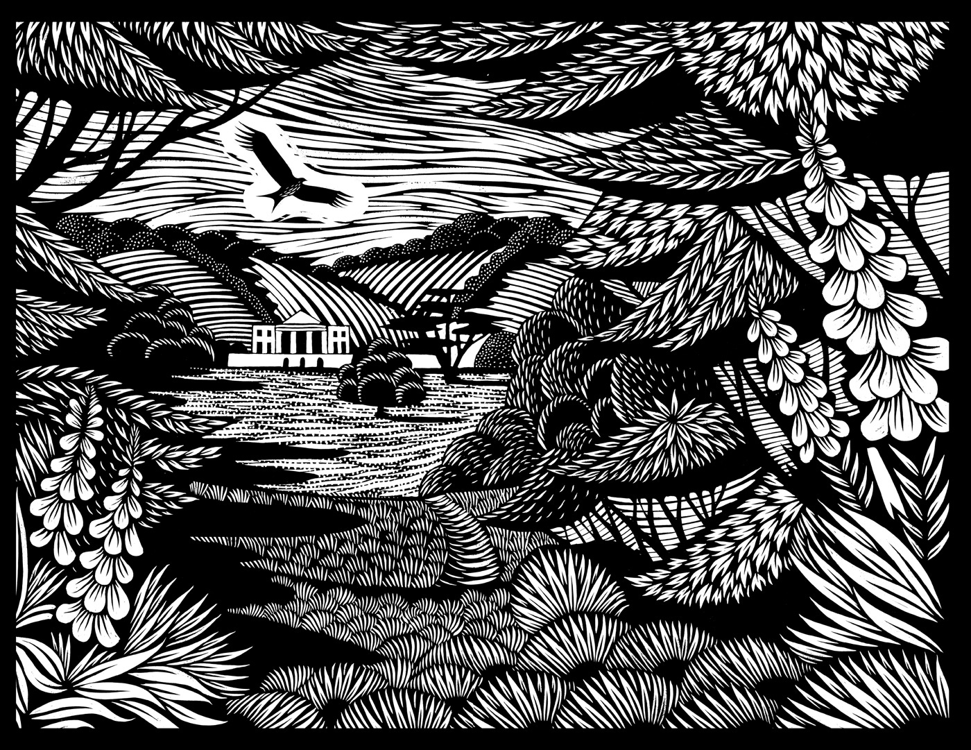 Nick Hayes: The Book of Trespass | Folio illustration agency