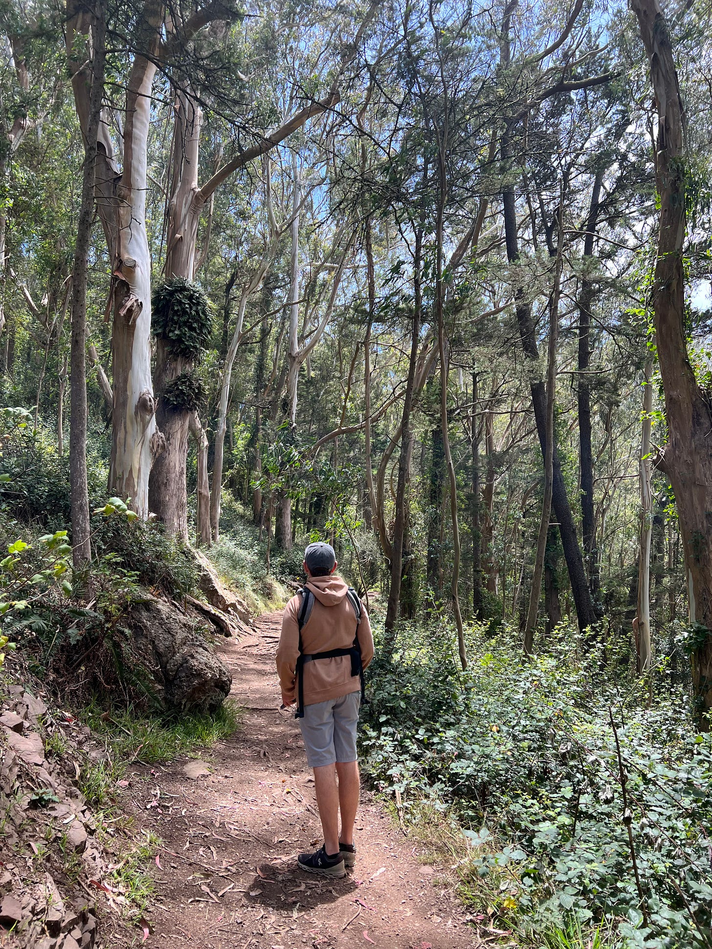 hiking 