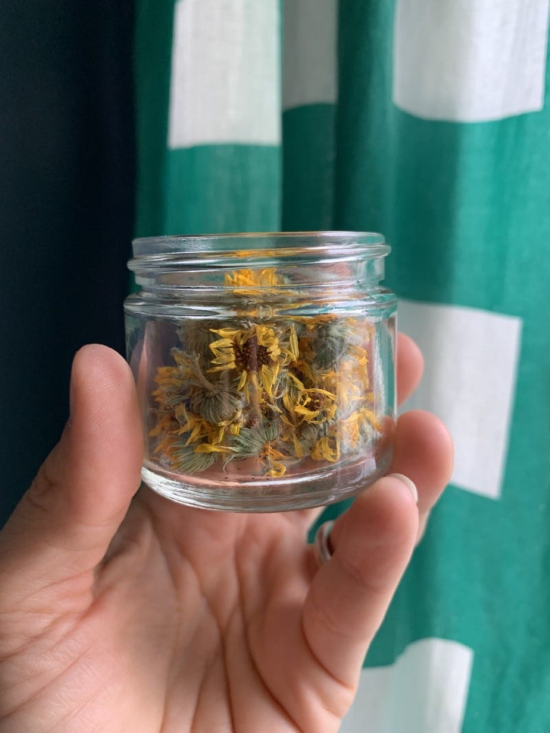 an image of calendula flowers, yellow and green, inside a small glass jar.
