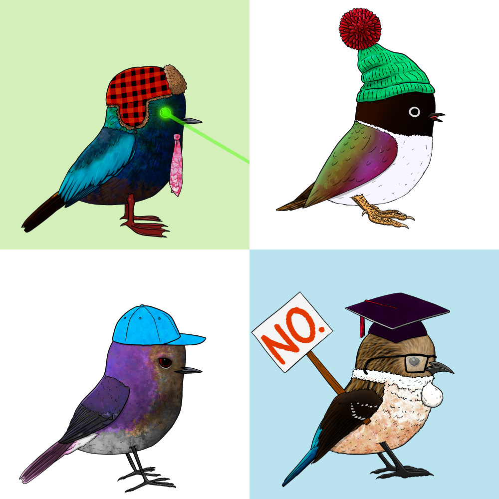 4 of Josh's birds