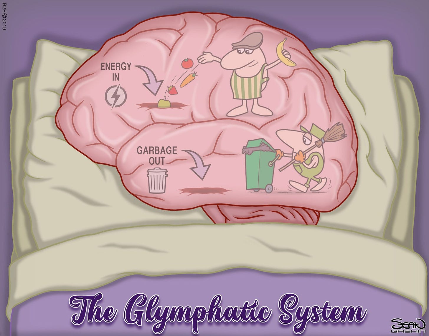 Glymphatic System – Your Brain's Private Contractor for Garbage Disposal