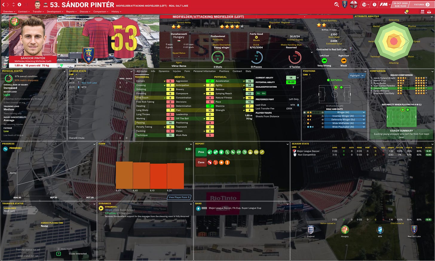 Football Manager 2021 Pinter