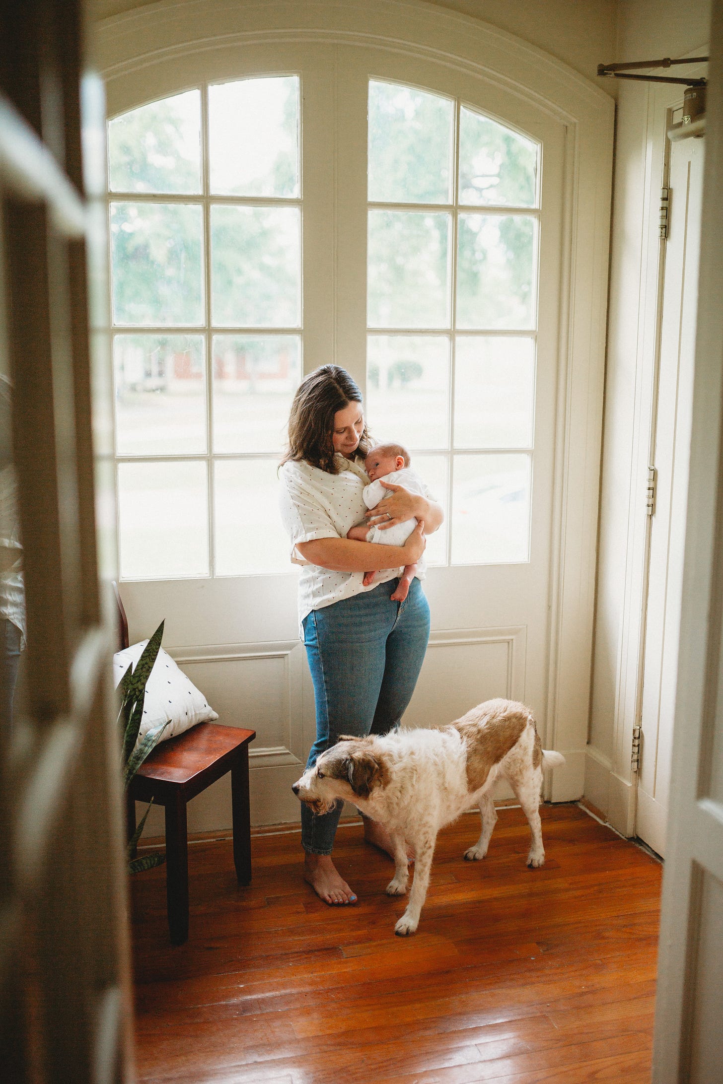 Everything You Need to Know about Flying with Pets