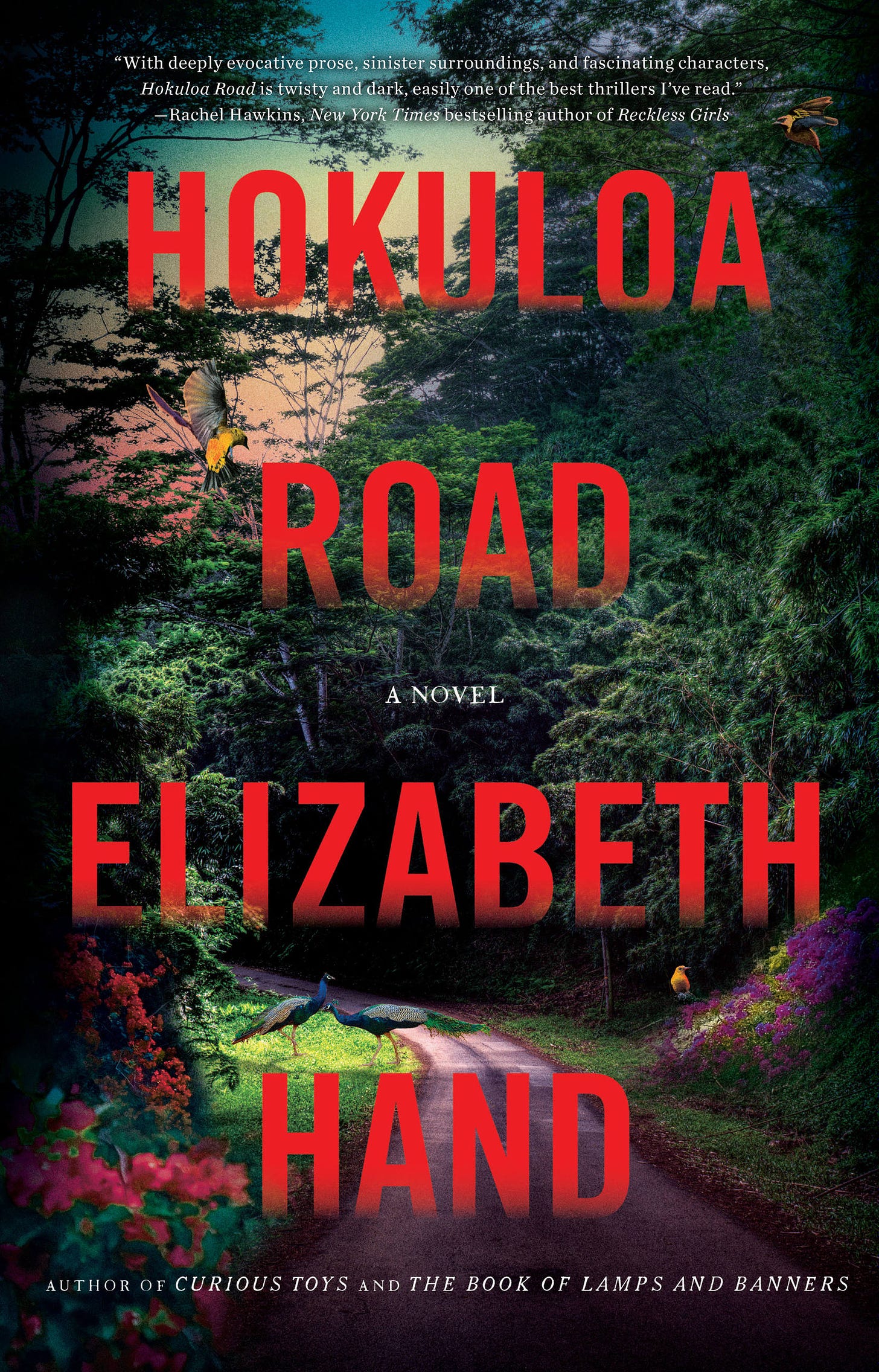 Hokuloa Road by Elizabeth Hand | Mulholland Books