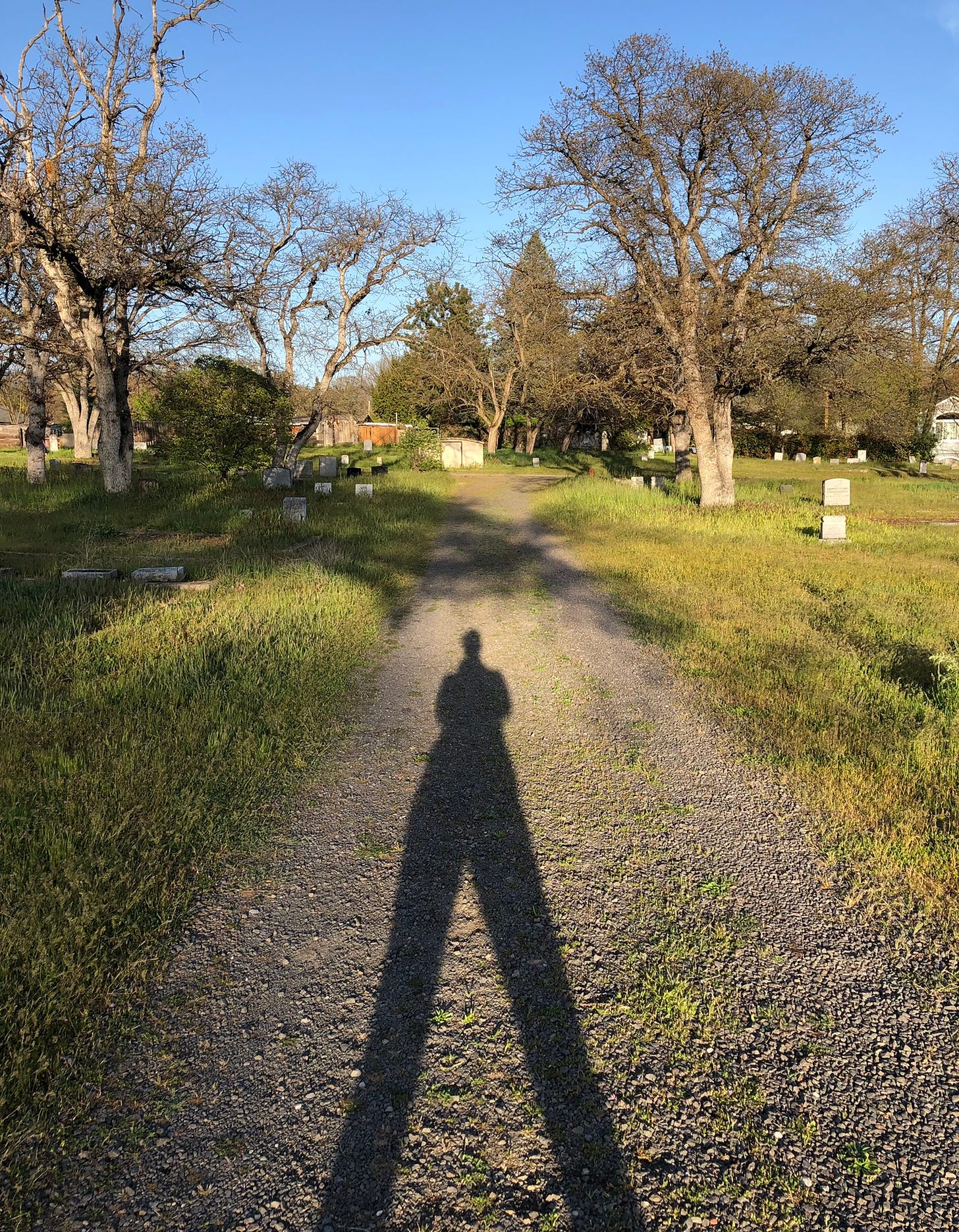 a dirt road through a grassy cemetery, on which there is an elongated shadow of a person
