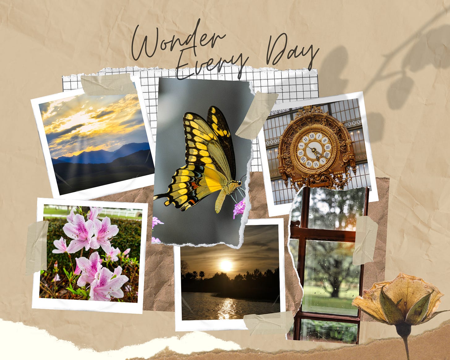 A collage of photos with the caption “wonder every day.” Photos from top left clockwise: sunrise over the mountains, swallowtail butterfly, antique clock in the Muse d’Orso, pink and white azaleas, sepia sunset, view of trees from a wood paned window