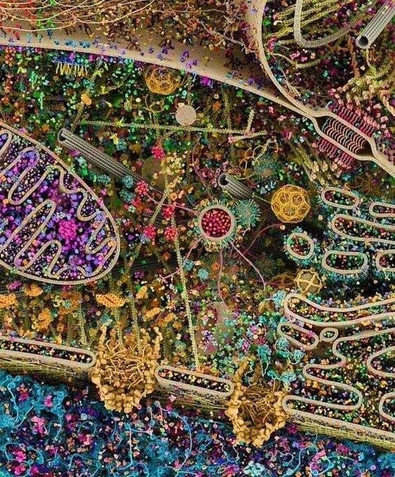 incredibly detailed and colorful depiction of the inside of a eukaryotic cell, by evan ingersoll and gael mcgill