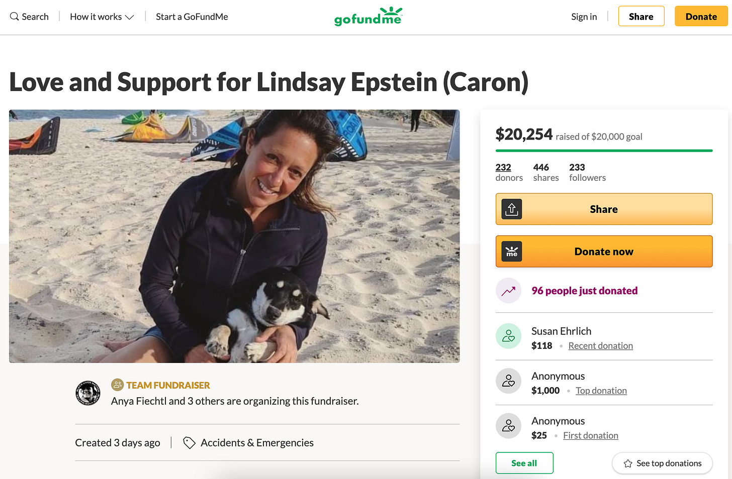 A screenshot of a woman on the beach holding a dog at the top of a GoFundMe donation page. Donations are listed on the right with a yellow button to share and another to donate now.