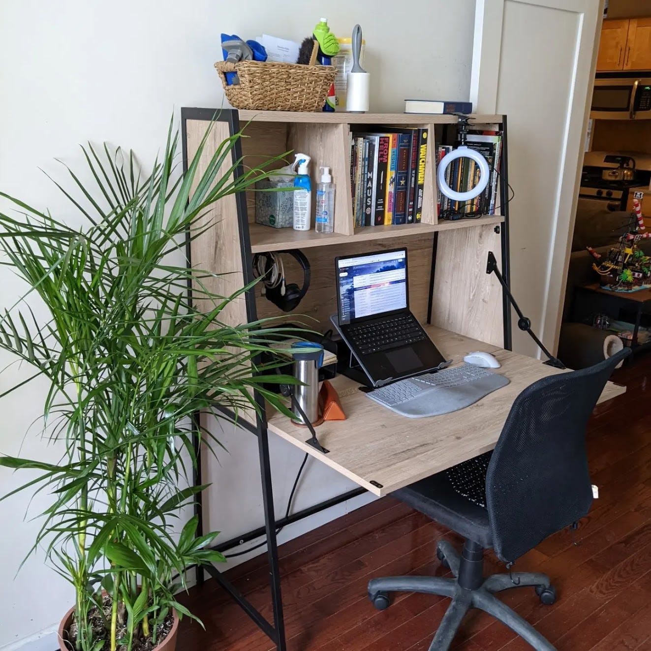 A Bamboo Palm plant next to a desk with a laptop and books