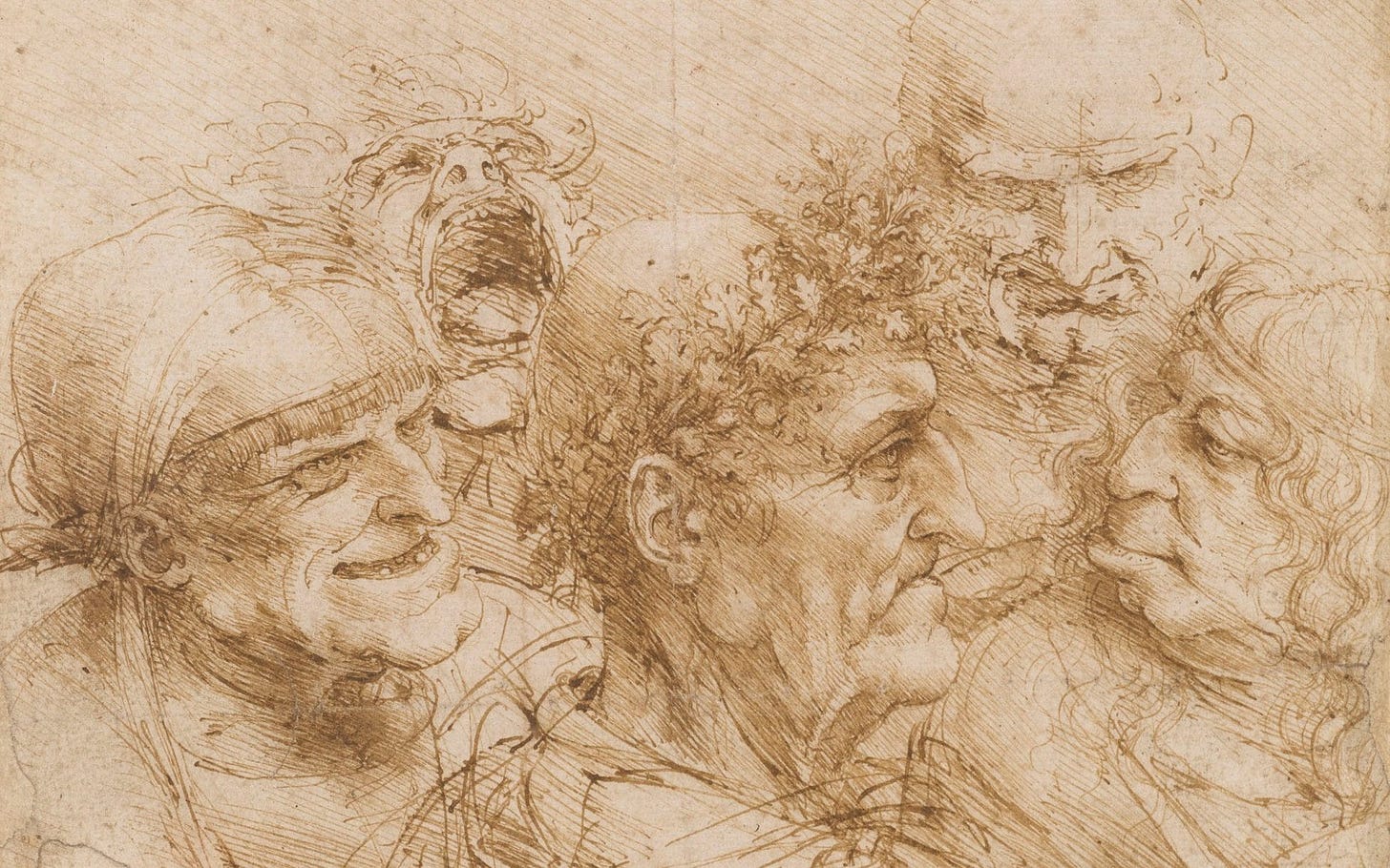 Leonardo da Vinci: A Life in Drawing review, Queen's Gallery: you'll never  feel closer to the brilliance of Leonardo