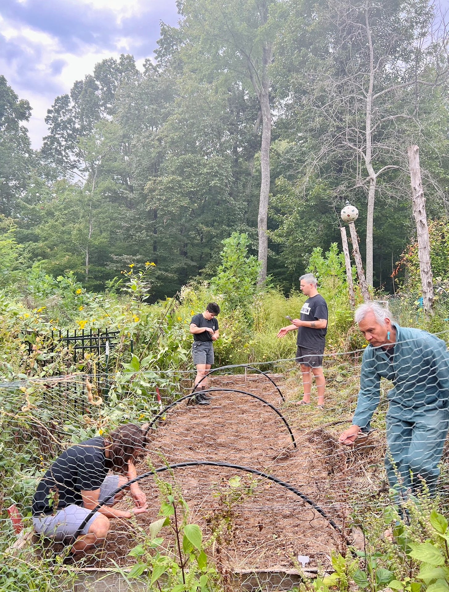 Four community members preparing a new gardening soil bed at a sanctuary farm in Middle Tennessee to plant seeds for vegetables, grains and herbs that can be harvested later this fall.