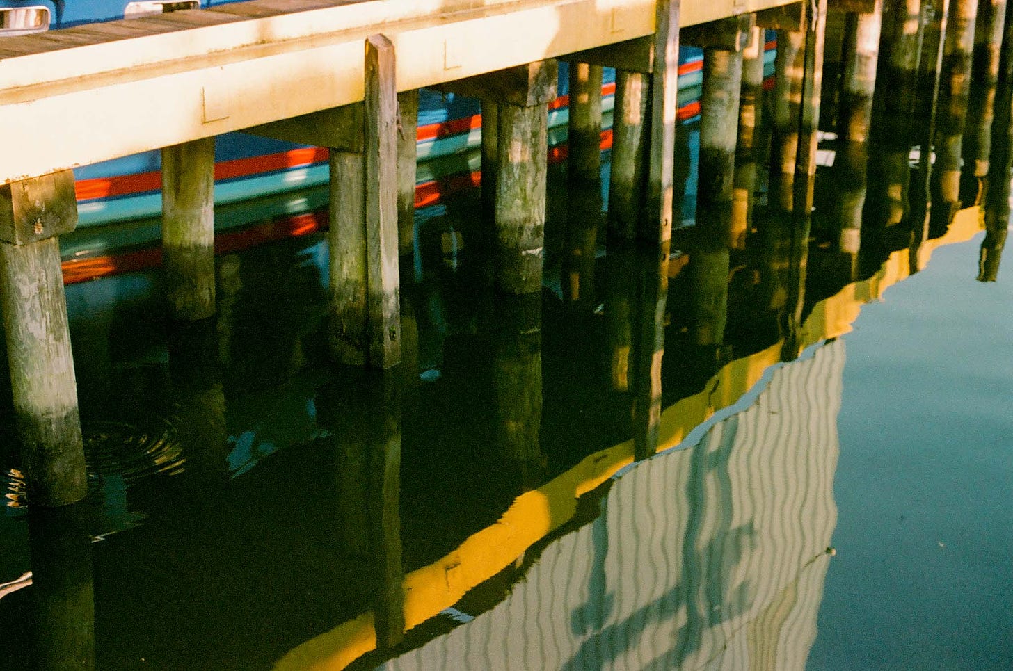 Portra 160 Pushed