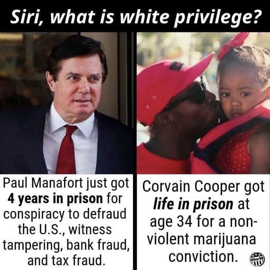 May be an image of 2 people and text that says 'Siri, what is white privilege? Paul Manafort just got 4 years in prison for conspiracy to defraud the U.S., witness tampering, bank fraud, and tax fraud. Corvain Cooper got life in prison at age 34 for a non- violent marijuana conviction.'