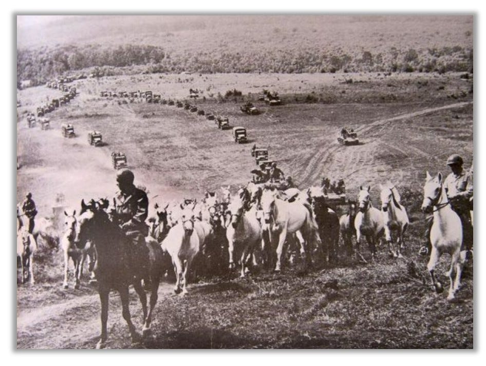 Photo of "Operation Cowboy" -- Horses are being herded together by cavalry on horseback.  A long train of vehicles can be seen trailing behind the horses.