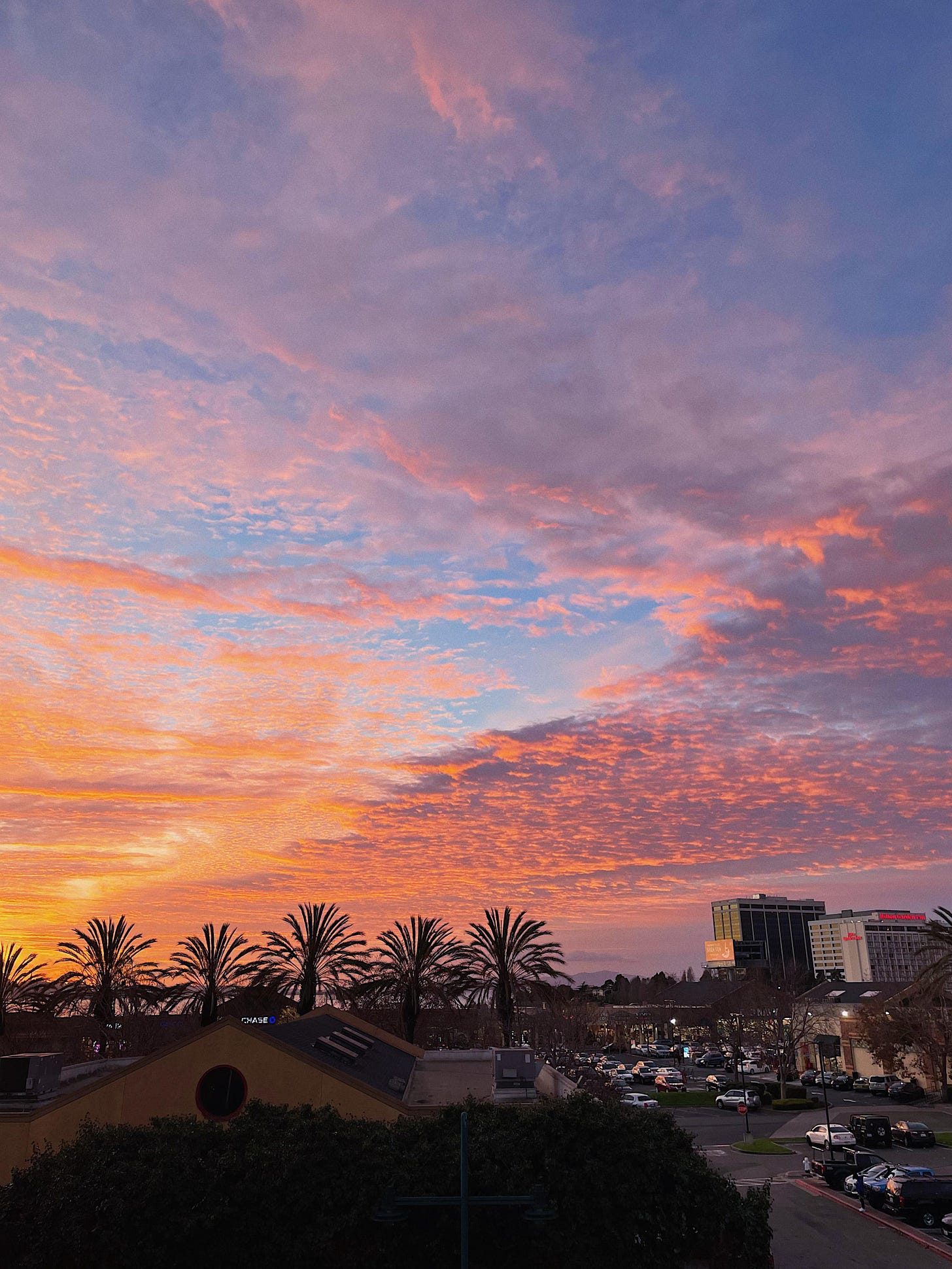 A photo of bright purple and orange sunset with peeks of the blue sky and cornrows of clouds. The bottom fo the photo is dark and you can see outlines of palm trees