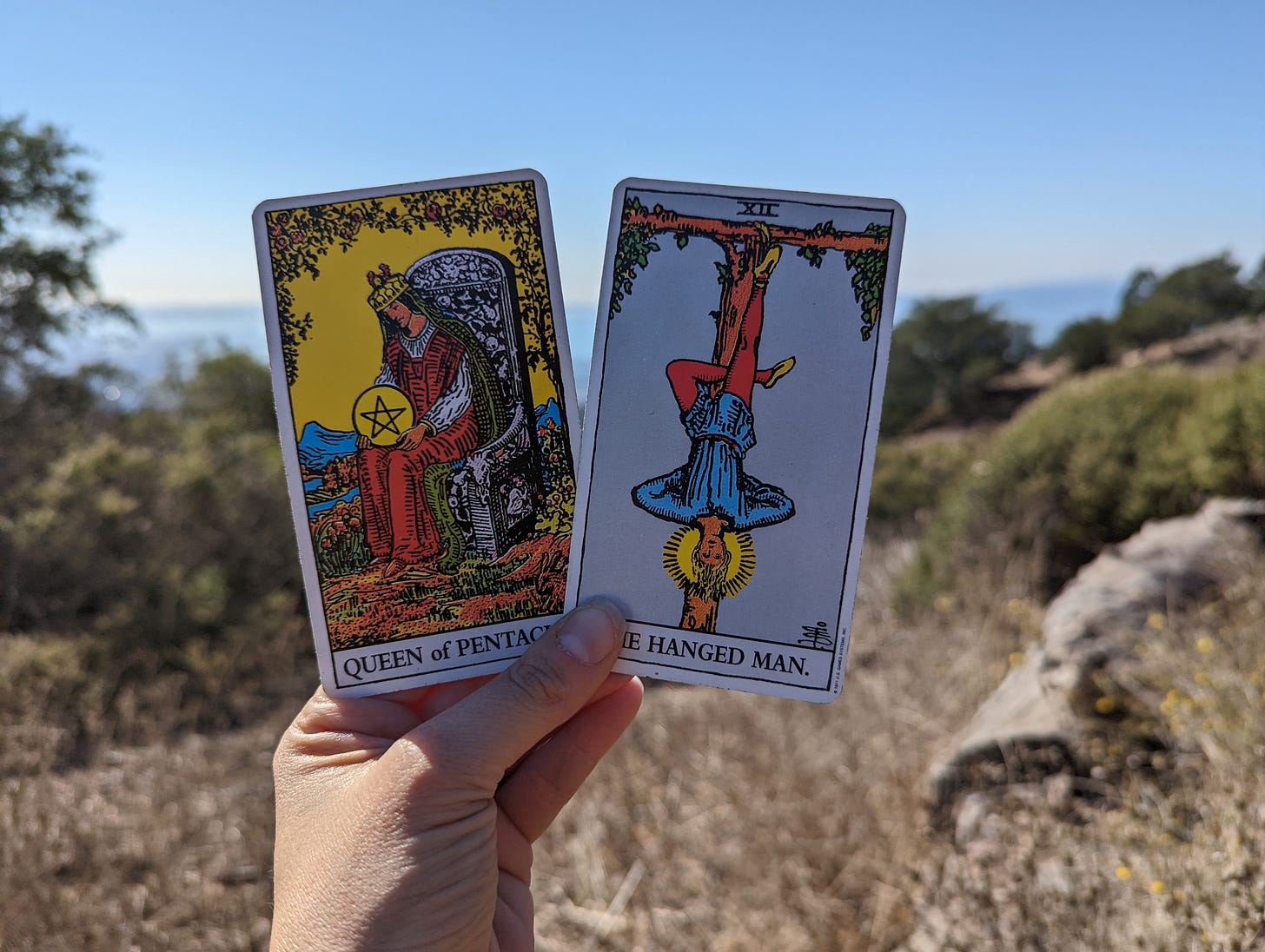 A hand holds up two tarot cards: Queen of Pentacles and The Hanged Man. In the background are rolling hills with dry grass and a few green bushes and trees.