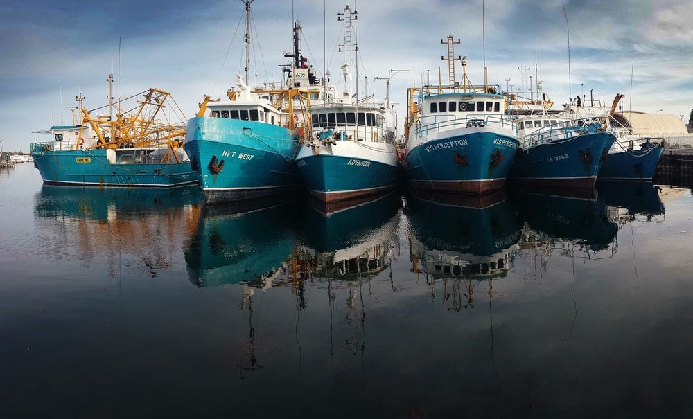 30k+ Harbour Pictures | Download Free Images on Unsplash