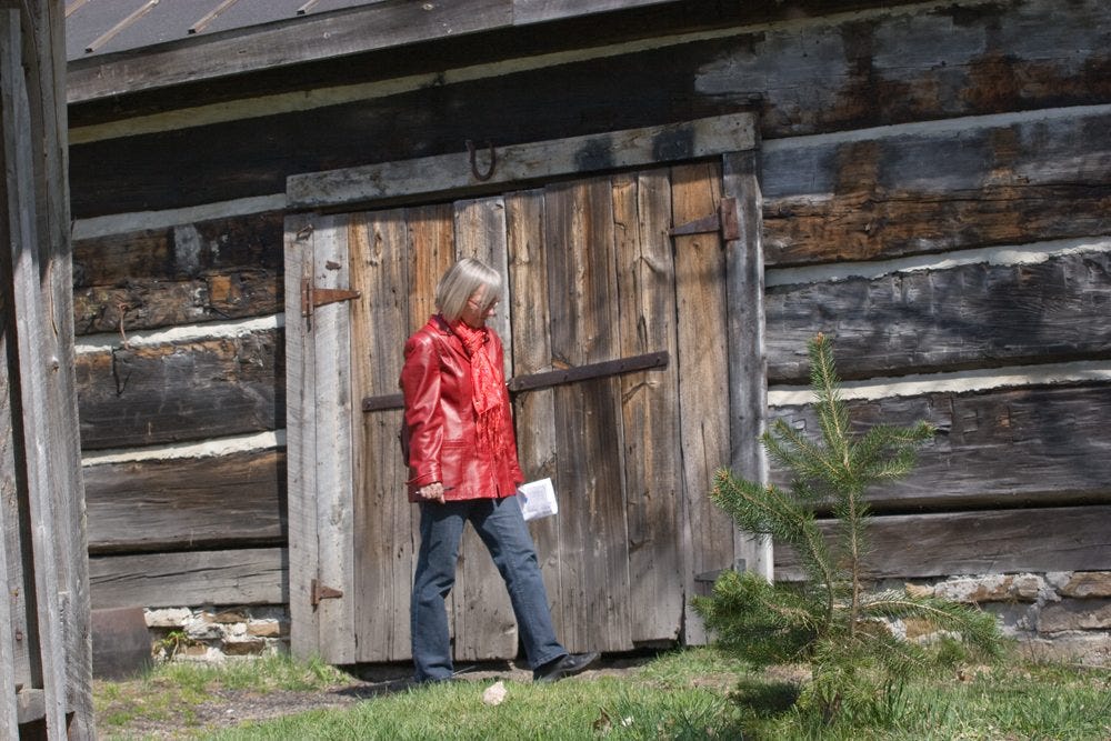 Julie Czerneda log buildings