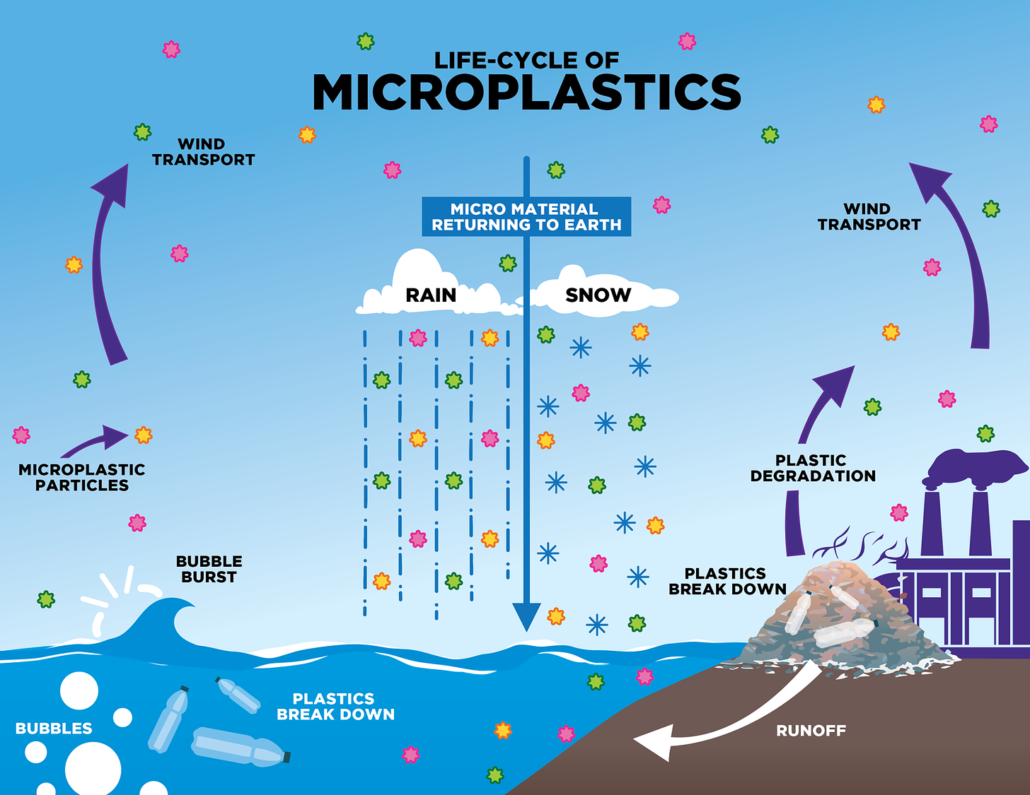 Airborne Microplastics: A Global Issue With Implications For Human Health –  Young Scientists Journal
