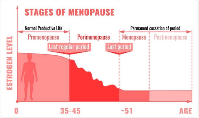What Should I Eat During Menopause?