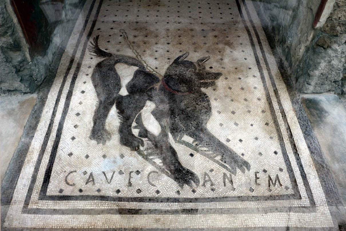 Photo d'une mosaïque dans une villa romaine représentant un chien et le texte "Cave canem"