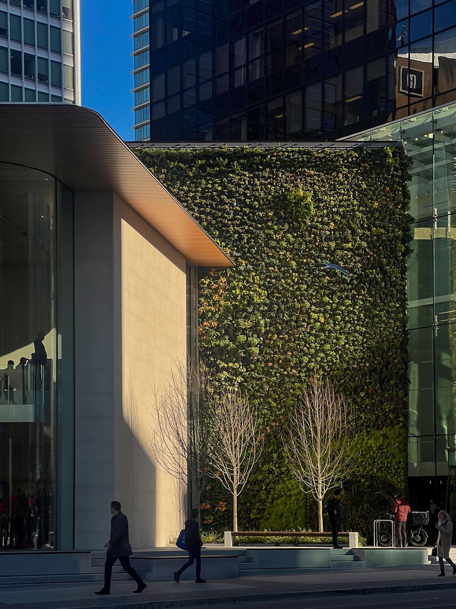 The green wall at Apple Pacific Centre.