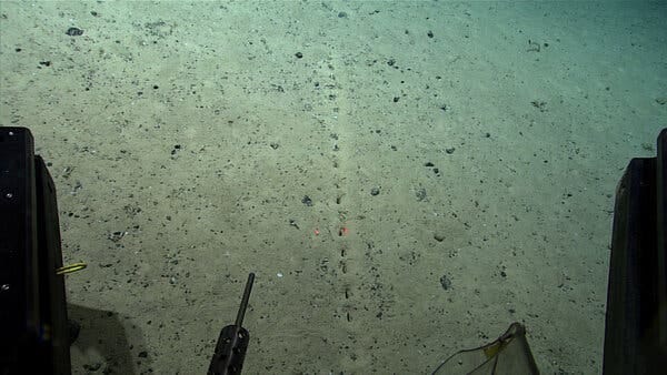 An image of a sandy deep-sea floor, with what looks like a sewing seam punched into it. A straight line of slightly elongated holes, like a series of dashes. 