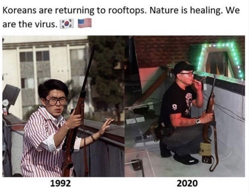 Image result from https://www.shutupandtakemymoney.com/koreans-are-returning-to-rooftops-meme/