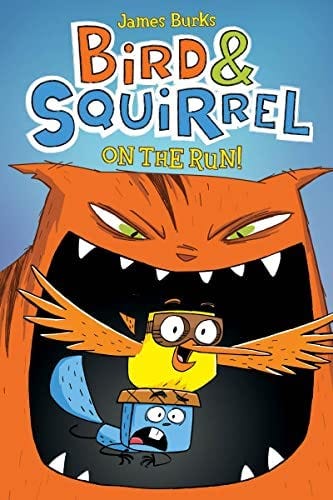 Bird & Squirrel On the Run!: A Graphic Novel (Bird & Squirrel #1): Burks,  James: 9780545312837: Amazon.com: Books