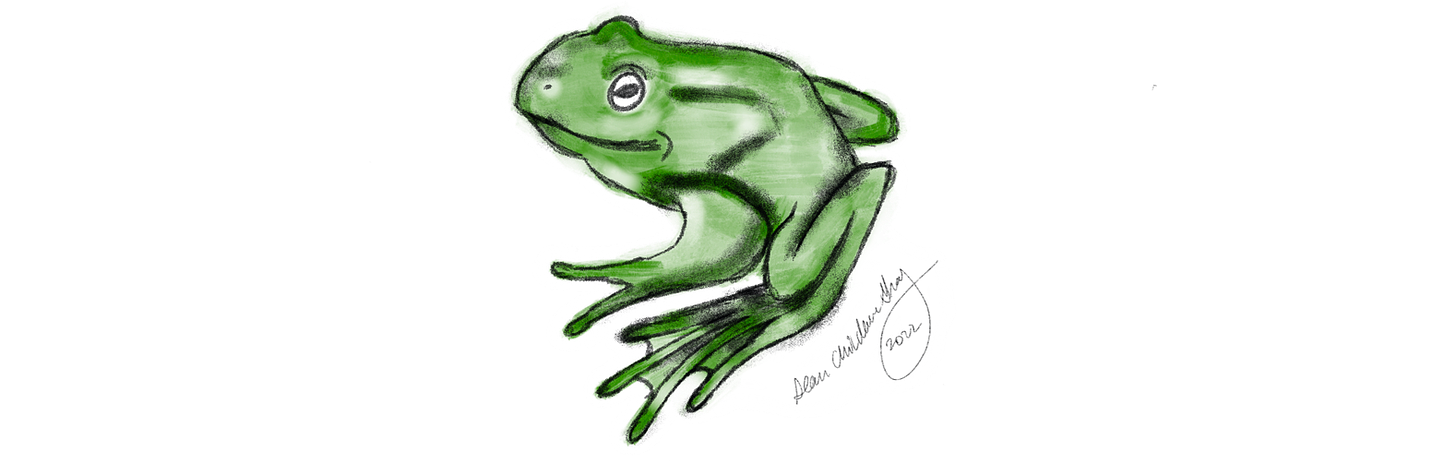 drawing of a green frog