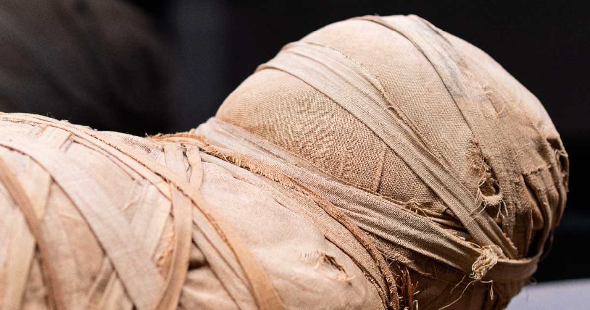 Ancient Egyptian mummy photographed at the archaeological museum of Florence. Source: Massimiliano / Adobe Stock