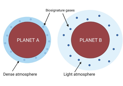  Atmospheric density in the search for life. Planet A (left) has a dense atmosphere (shown in blue) made up of heavy gases, which obscures the biosignature gases (blue circles). In contrast, Planet B’s (right) atmosphere has a less dense atmosphere made up of lighter gases like hydrogen. Light atmospheres can be probed more easily for biosignature gases produced by microbes.
