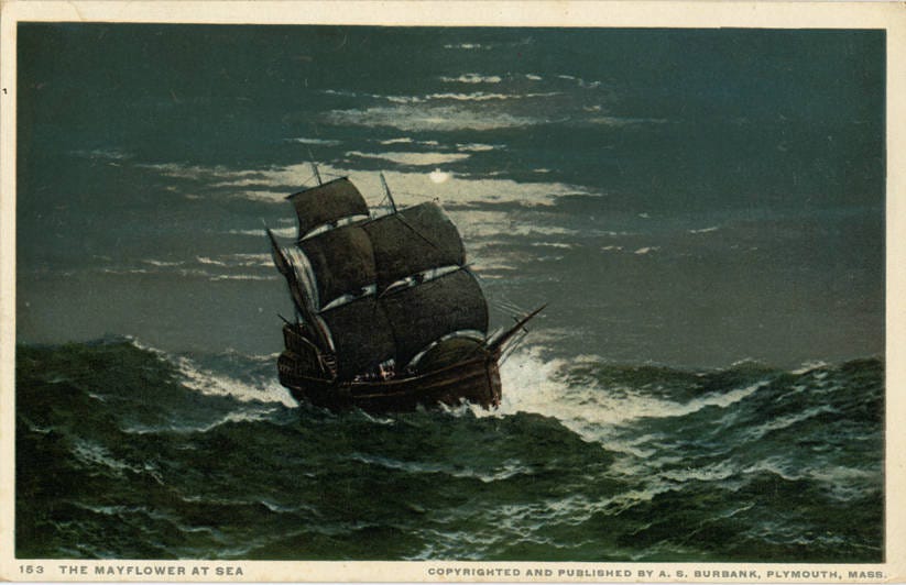 Mayflower - Wikipedia