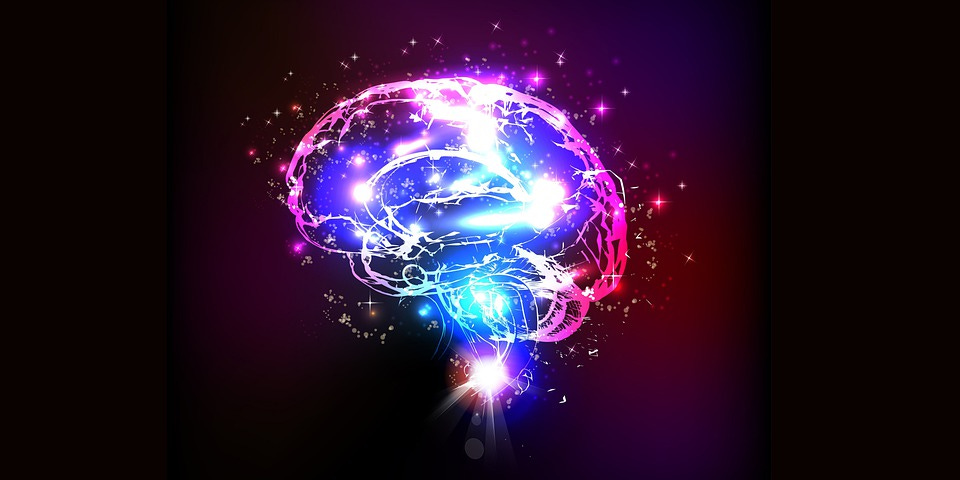 Free illustrations of Brain