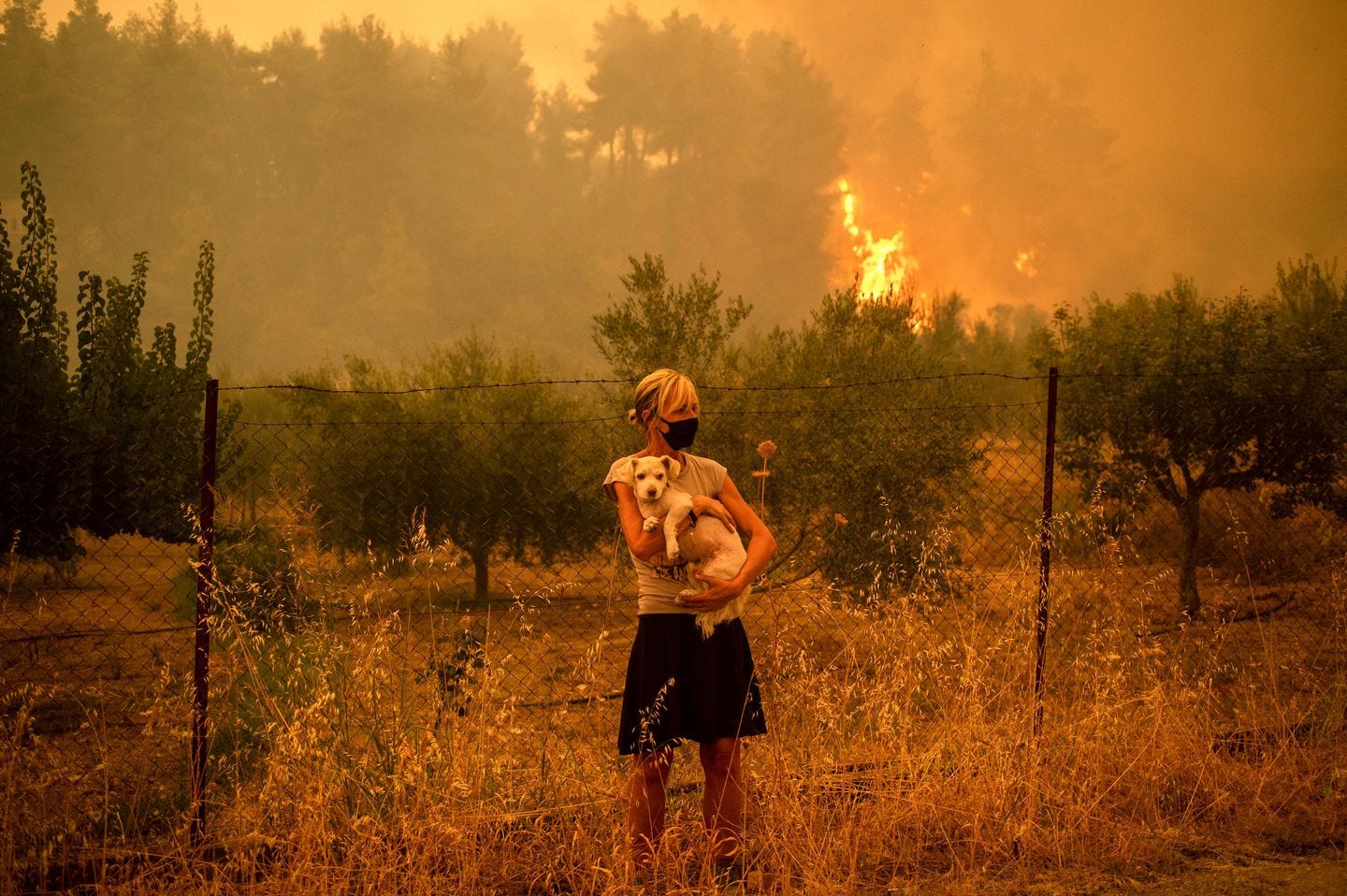 A woman held her dog as forest fires approached the village of Pefki on Evia island, Greece's second largest island, Sunday.  Massive wildfires across the globe have been blamed, in part, on global warming.