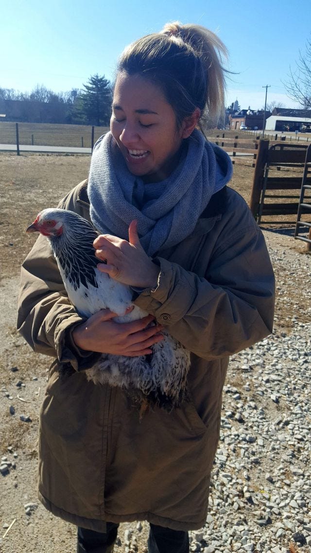 I AM PETTING A CHICKEN