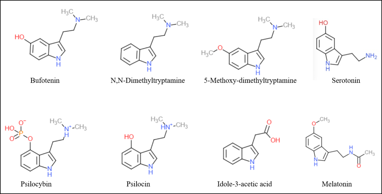 tryptaminealkaloids.png