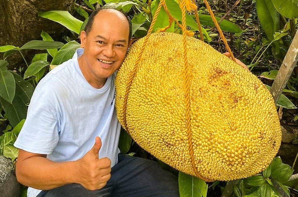 Heaviest jackfruit: world record set by Randy Maranan