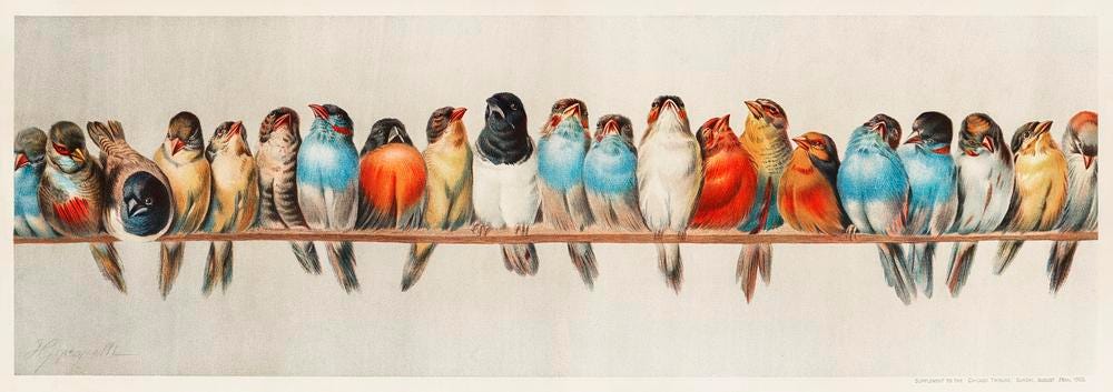 A Perch of Birds vintage illustration wall art print and poster design remix from original artwork of Hector Giacomelli