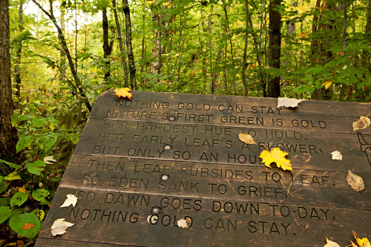 Photo of Nothing Gold Can Stay plaque Robert Frost Interpretive Trail — Ripton, Vermont