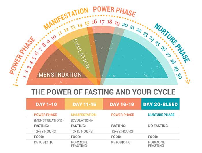 fasting cycle